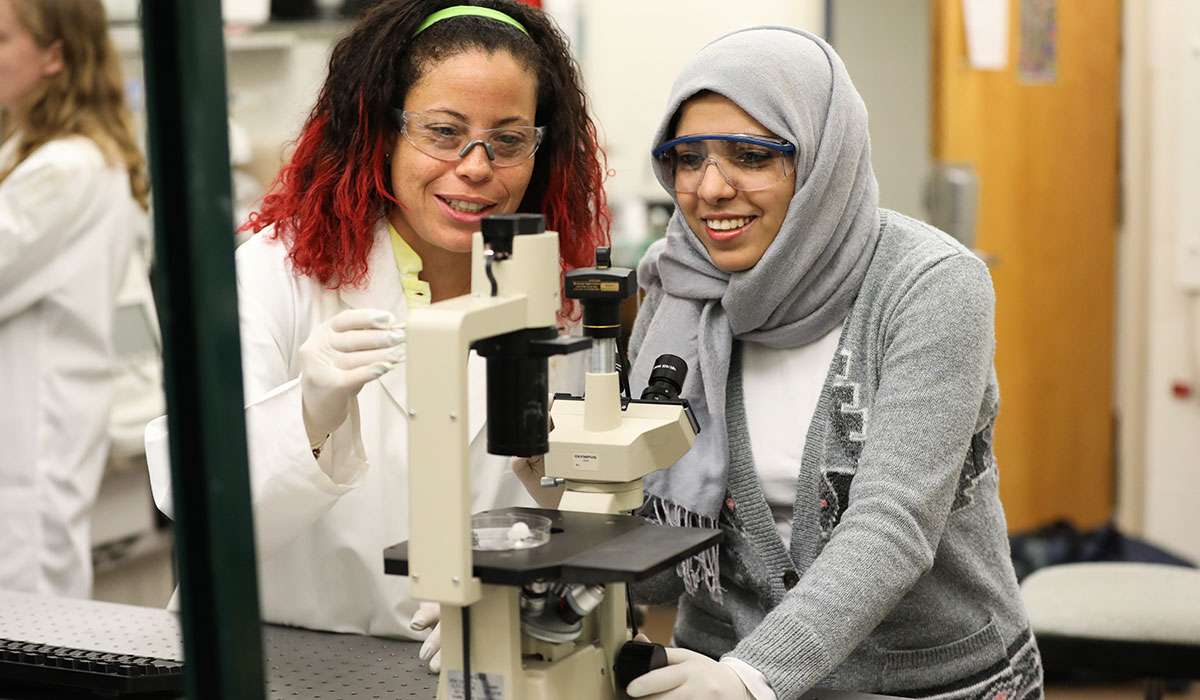 Two students using a microscope