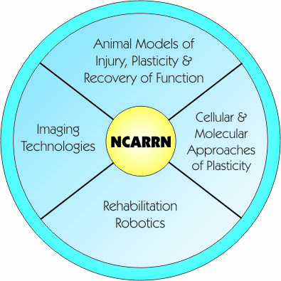 NCARRN Wheel 