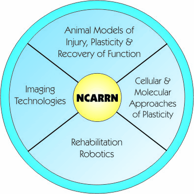 NCARRN Wheel