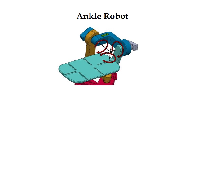 Ankle Robot