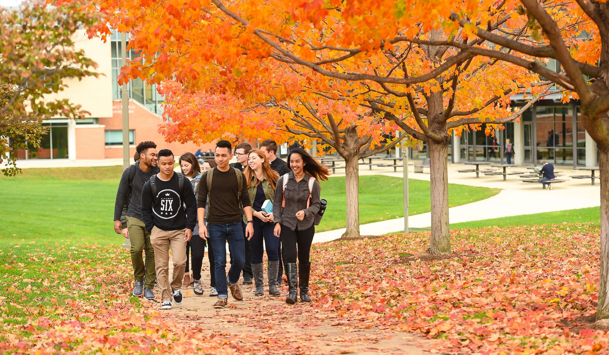 Students walking under a fall tree