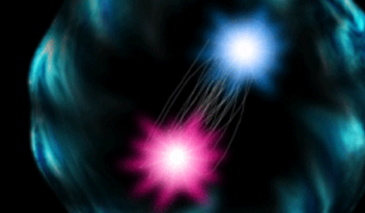 Image of a pion